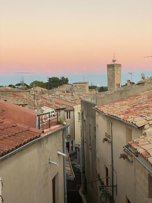 Cave De Charme 18eme Siecle Pignan